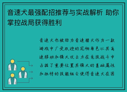 音速犬最强配招推荐与实战解析 助你掌控战局获得胜利 音速犬最强配招推荐与实战解析 助你掌控战局获得胜利